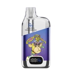 RandM Tornado Box – RandM – Refillable Pod Kit